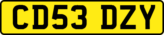 CD53DZY