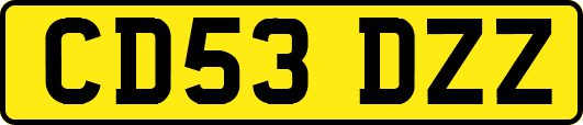 CD53DZZ