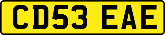 CD53EAE