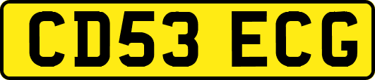 CD53ECG
