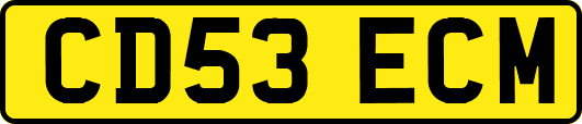 CD53ECM