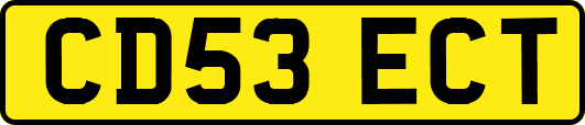 CD53ECT