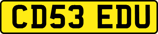 CD53EDU