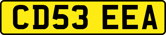 CD53EEA