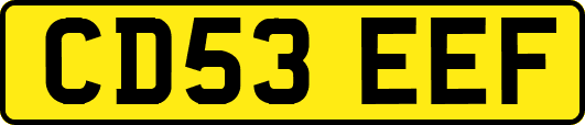 CD53EEF