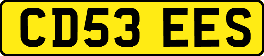 CD53EES