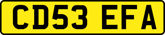 CD53EFA