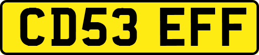 CD53EFF
