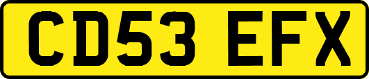 CD53EFX