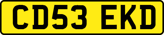 CD53EKD