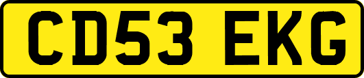 CD53EKG