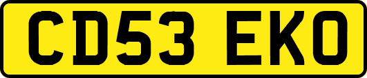 CD53EKO