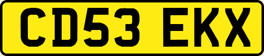 CD53EKX