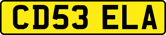 CD53ELA
