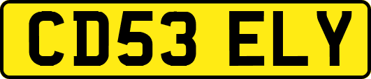 CD53ELY