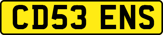 CD53ENS