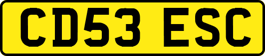 CD53ESC
