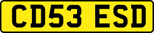CD53ESD