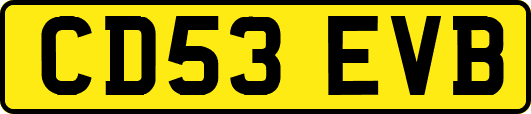 CD53EVB