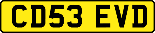 CD53EVD
