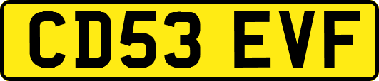 CD53EVF