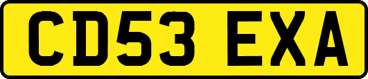 CD53EXA
