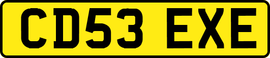 CD53EXE