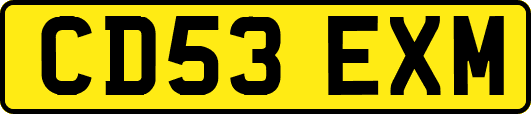 CD53EXM