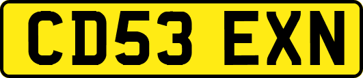 CD53EXN