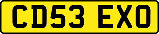 CD53EXO