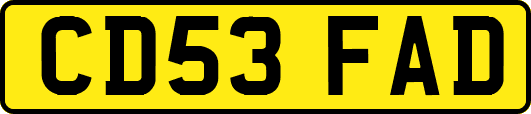 CD53FAD