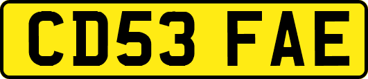 CD53FAE