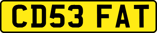 CD53FAT