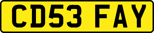 CD53FAY