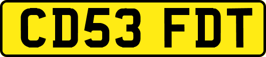 CD53FDT