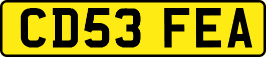 CD53FEA