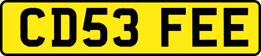 CD53FEE