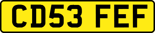 CD53FEF