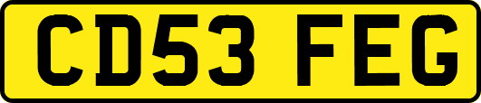 CD53FEG