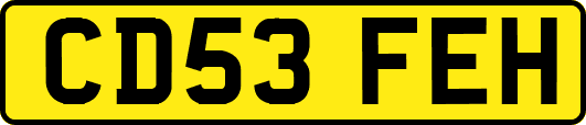 CD53FEH