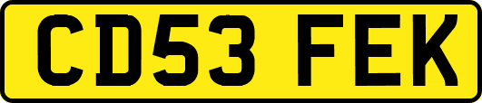 CD53FEK
