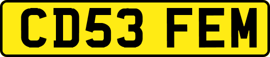 CD53FEM
