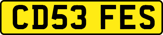CD53FES