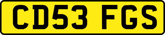 CD53FGS