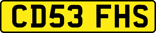 CD53FHS