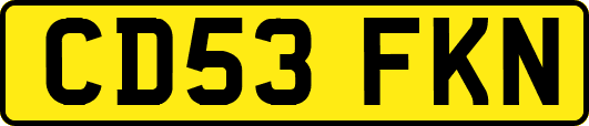 CD53FKN