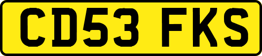CD53FKS