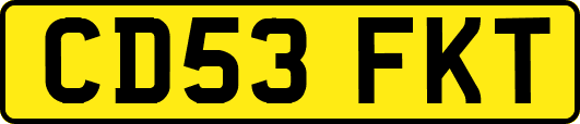 CD53FKT