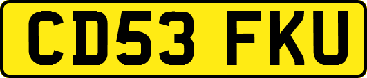 CD53FKU