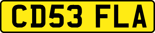 CD53FLA
